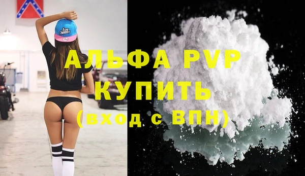 стаф Беломорск