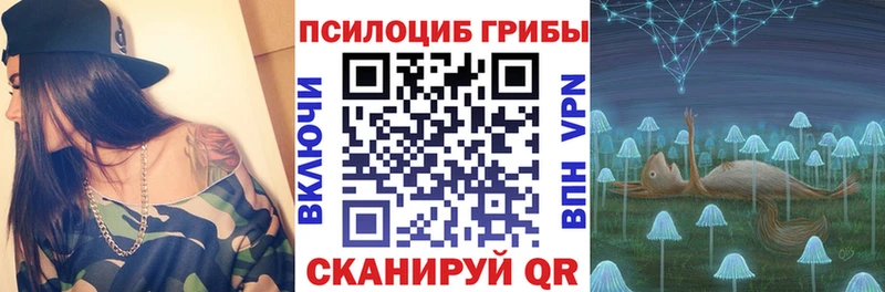 Псилоцибиновые грибы мухоморы  Купить закладки  Серов 